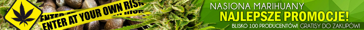 nasiona marihuany, taniesianie, weednews