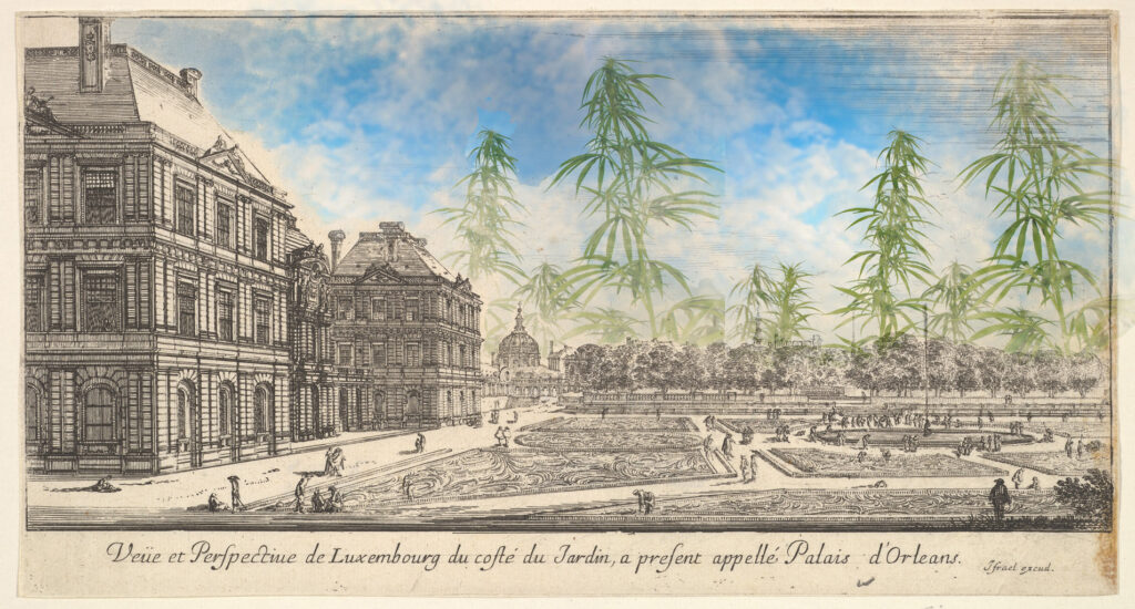 klub haszyszystów Paryż WEEDNEWS.PL Świat Zielonych Nowości