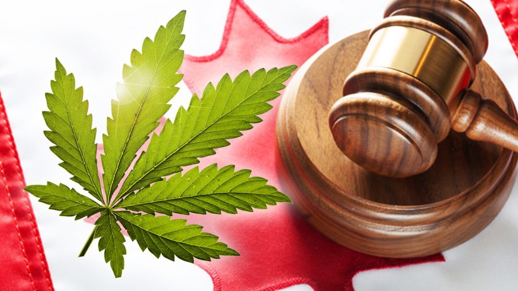 Calkowita legalizacja marihuany rekreacyjnej w Kanadzie