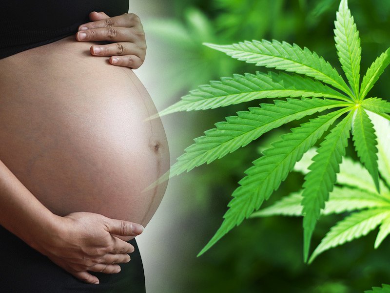 Używanie marihuany w ciąży