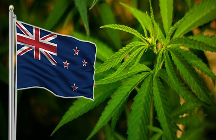 legalizacji marihuany w Nowej Zelandii