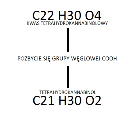 dekarboksylacja konopi