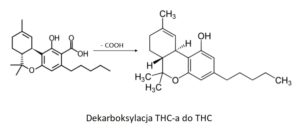 dekarboksylacja konopi