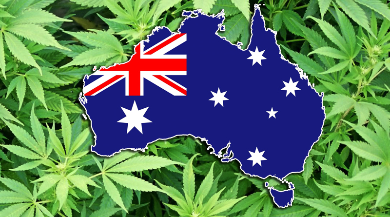 Australia zalegalizuje marihuanę