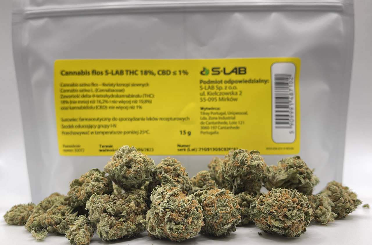 Medyczna marihuana od S-Lab