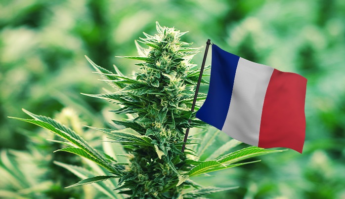 Francja rozpoczęła debatę o legalizacji marihuany