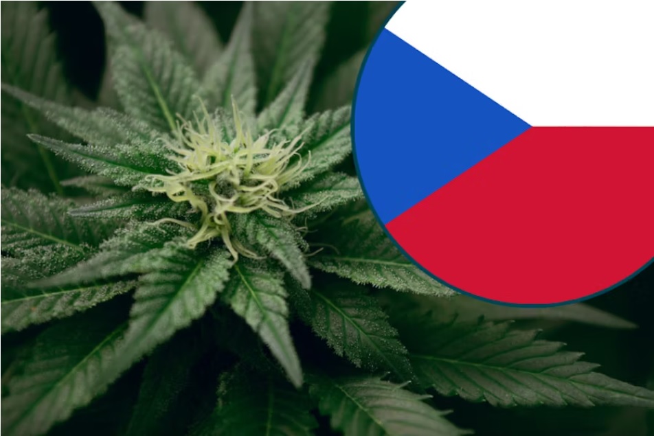 Legalizacja marihuany w Czechach